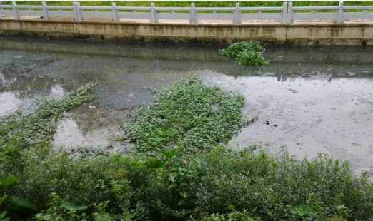 [廣東]河道清淤8寸立式泥漿泵，砂泵廠家直供